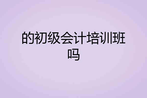 的初级会计培训班吗