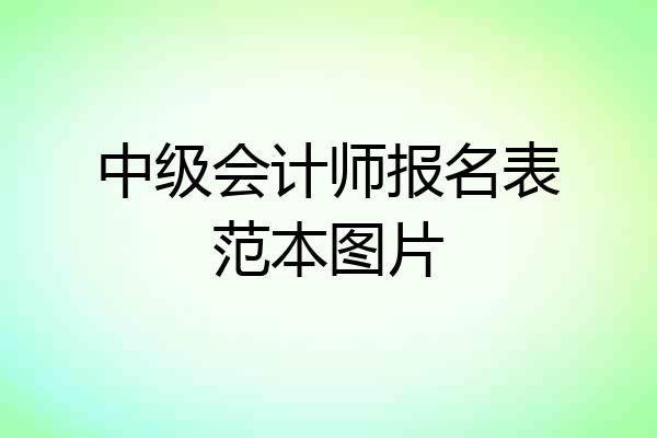 中级会计师报名表范本图片