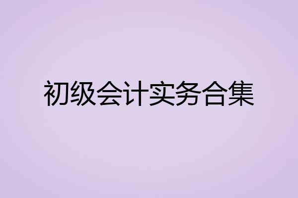初级会计实务合集