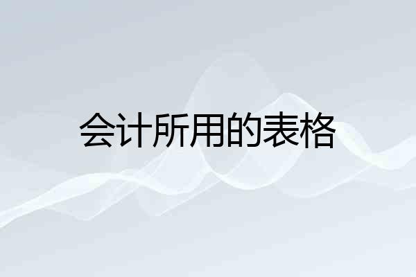 会计所用的表格