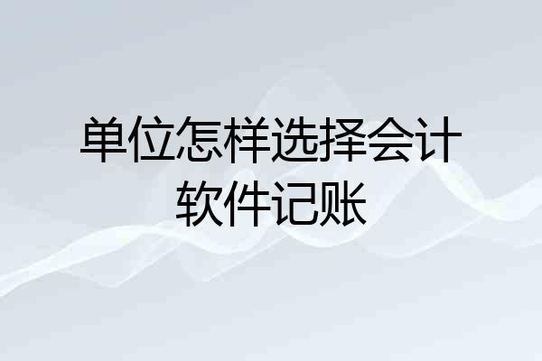 单位怎样选择会计软件记账