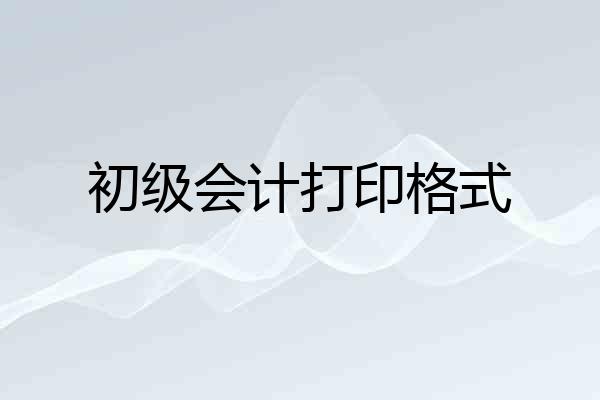 初级会计打印格式