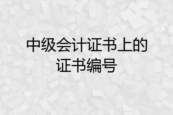 中级会计证书上的证书编号