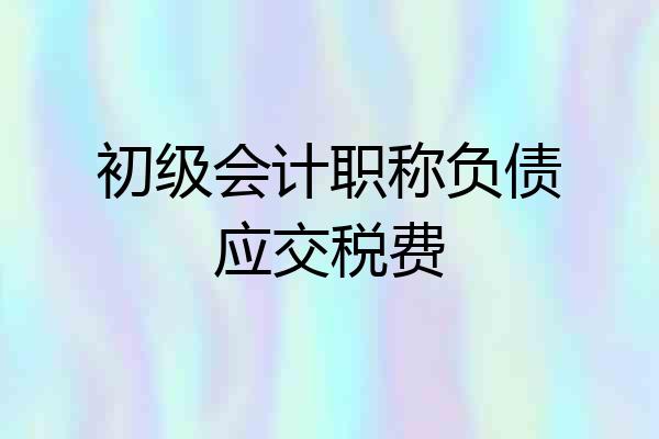 初级会计职称负债应交税费