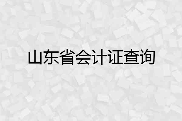 山东省会计证查询