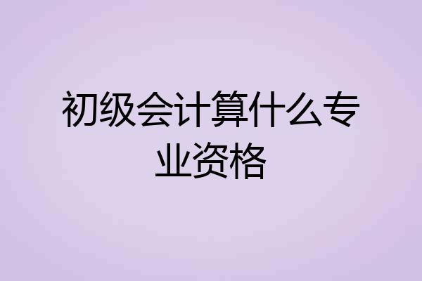 初级会计算什么专业资格