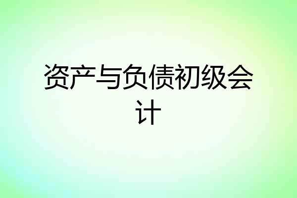 资产与负债初级会计
