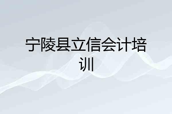 宁陵县立信会计培训