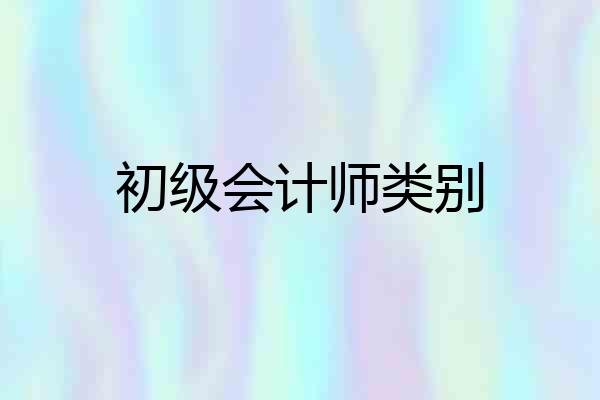 初级会计师类别