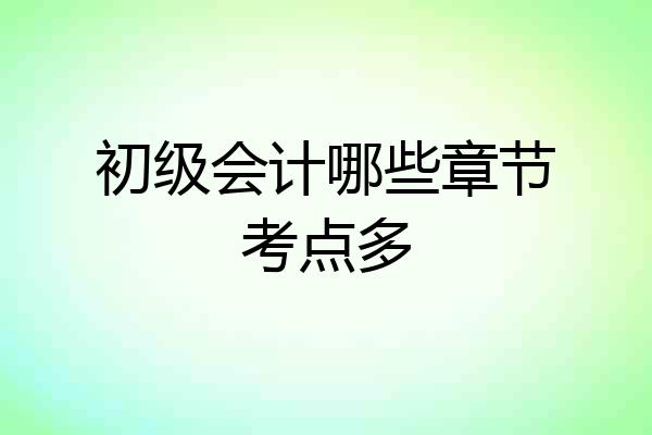 初级会计哪些章节考点多