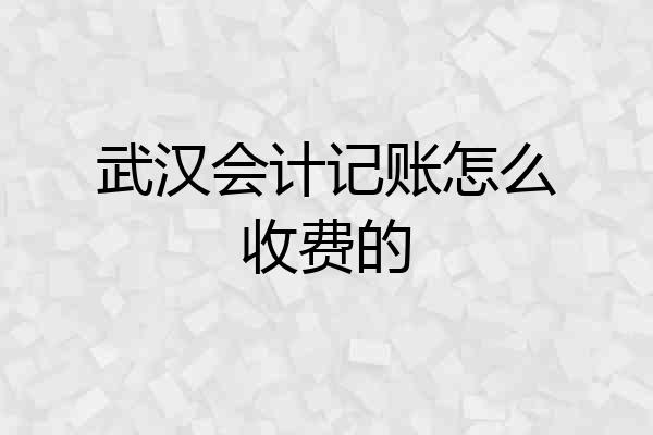 武汉会计记账怎么收费的