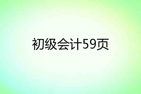 初级会计59页