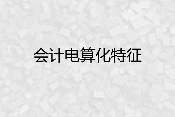 会计电算化特征