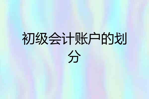 初级会计账户的划分