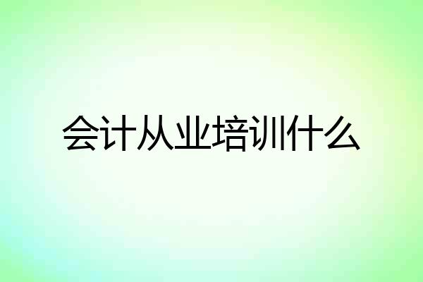 会计从业培训什么