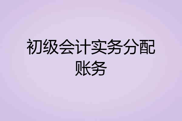 初级会计实务分配账务