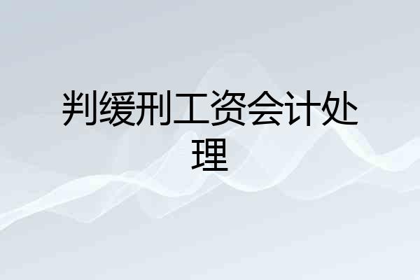 判缓刑工资会计处理