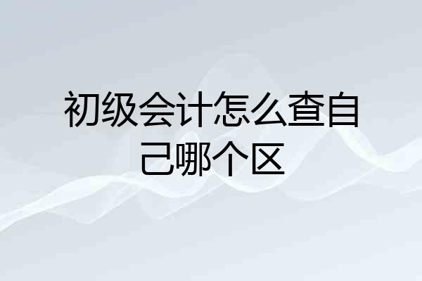 初级会计怎么查自己哪个区