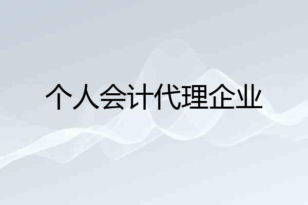 个人会计代理企业