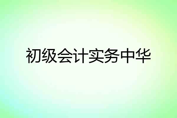 初级会计实务中华
