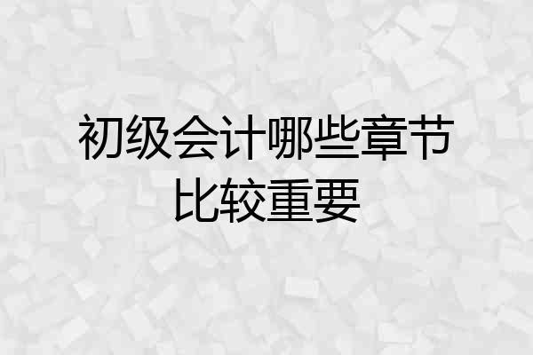 初级会计哪些章节比较重要