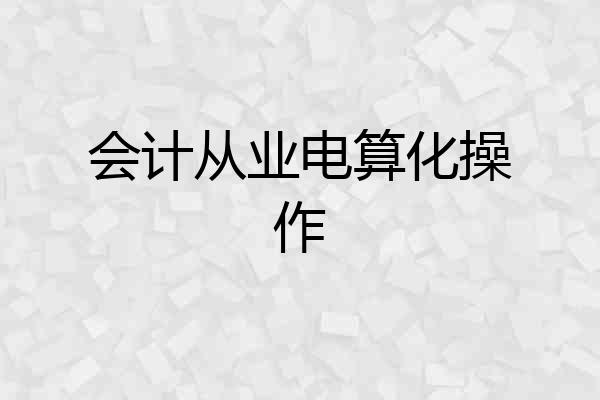 会计从业电算化操作