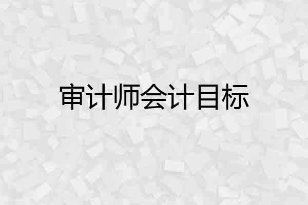 审计师会计目标