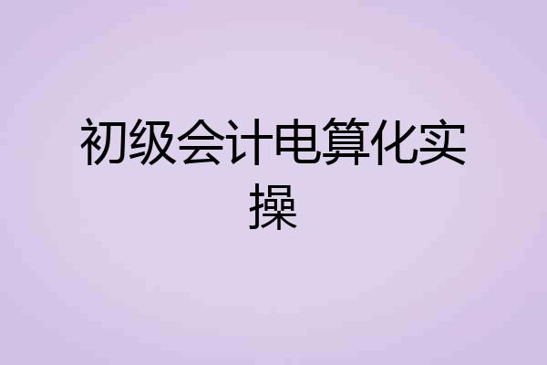 初级会计电算化实操