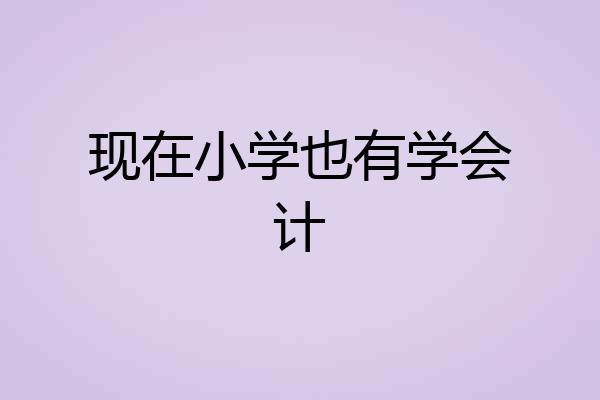 现在小学也有学会计