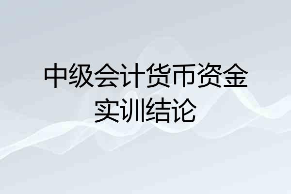 中级会计货币资金实训结论