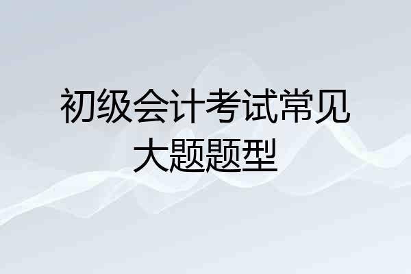 初级会计考试常见大题题型