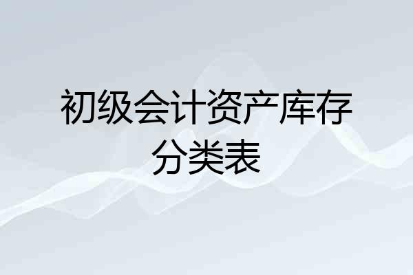 初级会计资产库存分类表