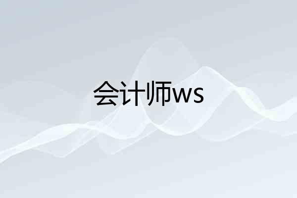 会计师ws