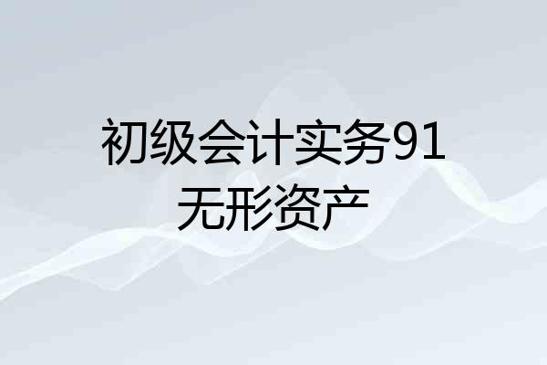 初级会计实务91无形资产