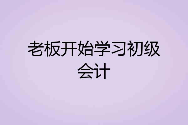 老板开始学习初级会计