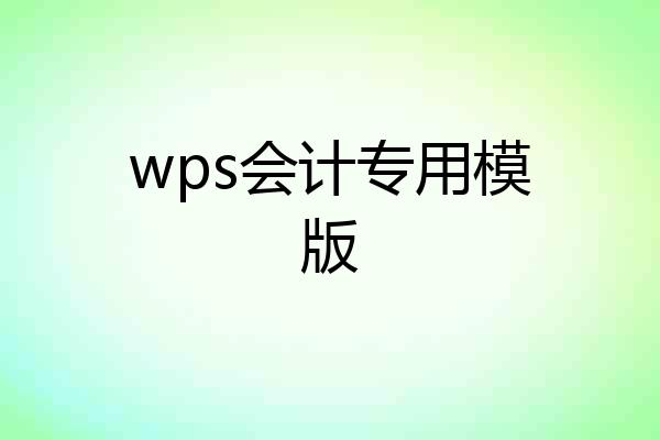 wps会计专用模版