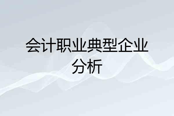 会计职业典型企业分析