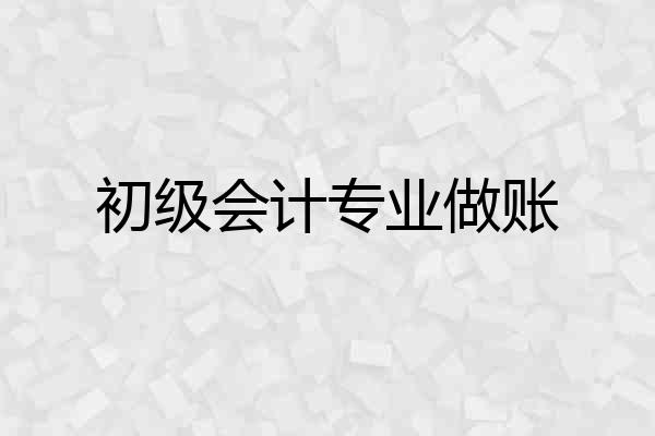 初级会计专业做账