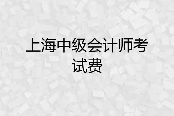 上海中级会计师考试费