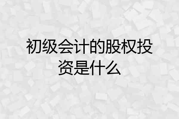 初级会计的股权投资是什么