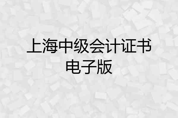 上海中级会计证书电子版