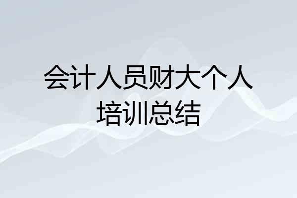 会计人员财大个人培训总结