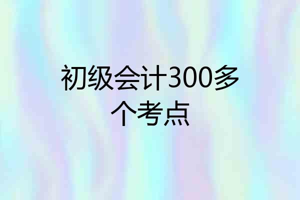 初级会计300多个考点