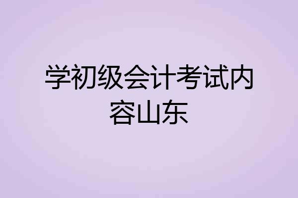 学初级会计考试内容山东