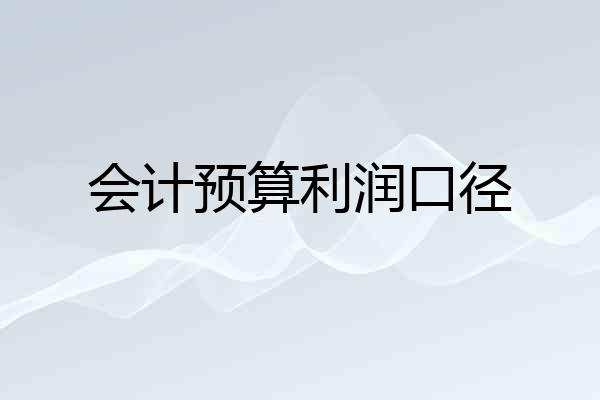 会计预算利润口径
