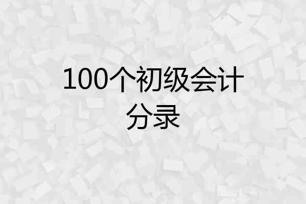 100个初级会计分录