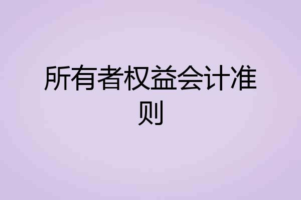 所有者权益会计准则