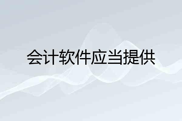 会计软件应当提供