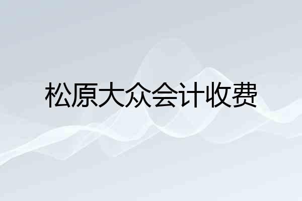 松原大众会计收费