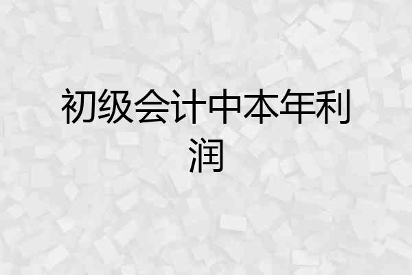 初级会计中本年利润